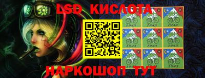 крисы Новодвинск