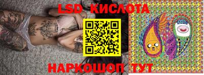 крисы Новодвинск