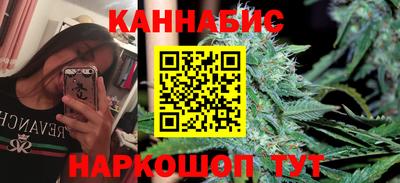 крисы Новодвинск