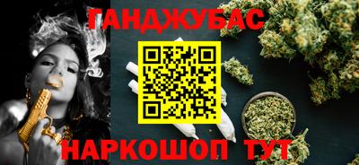 ECSTASY Новозыбков