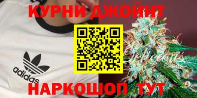 ECSTASY Новозыбков