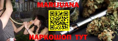 крисы Новодвинск