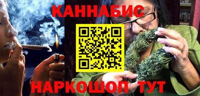 крисы Новодвинск