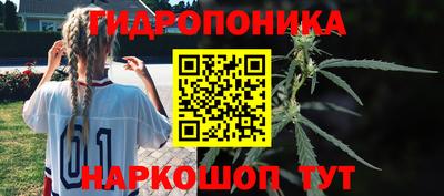 эйфоретик Нальчик