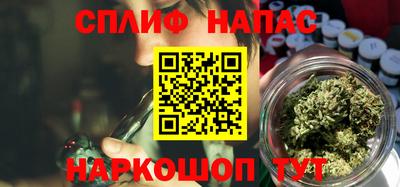 крисы Новодвинск