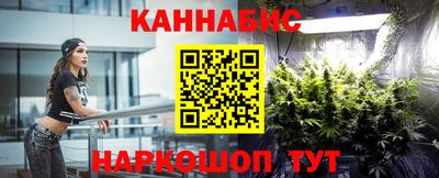 ECSTASY Новозыбков