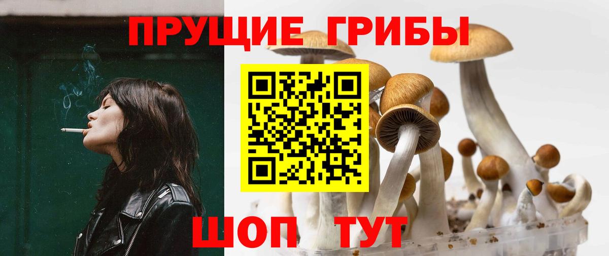 Ухта  Псилоцибиновые грибы ЛСД  что такое   Вход с VPN 